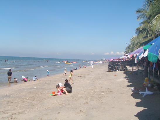 PA230053.jpg